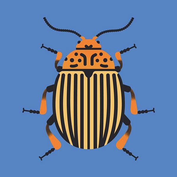 Thesis cover by Hannah Alice